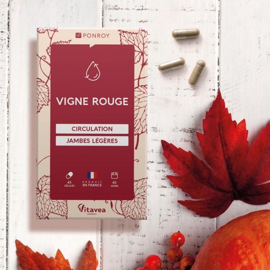 Vigne rouge
